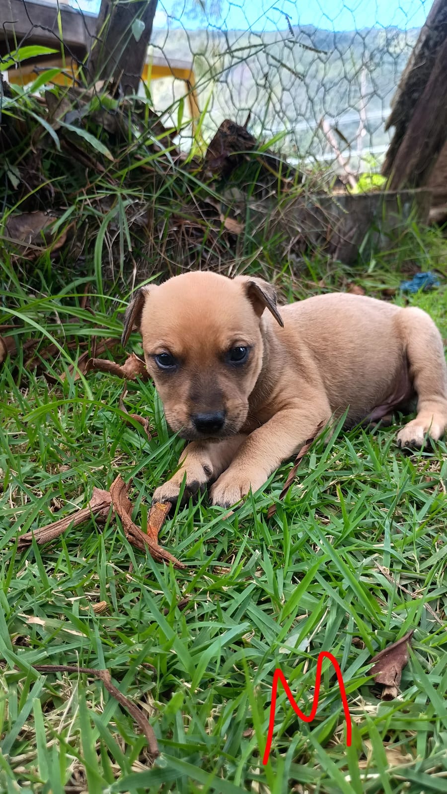 TITO