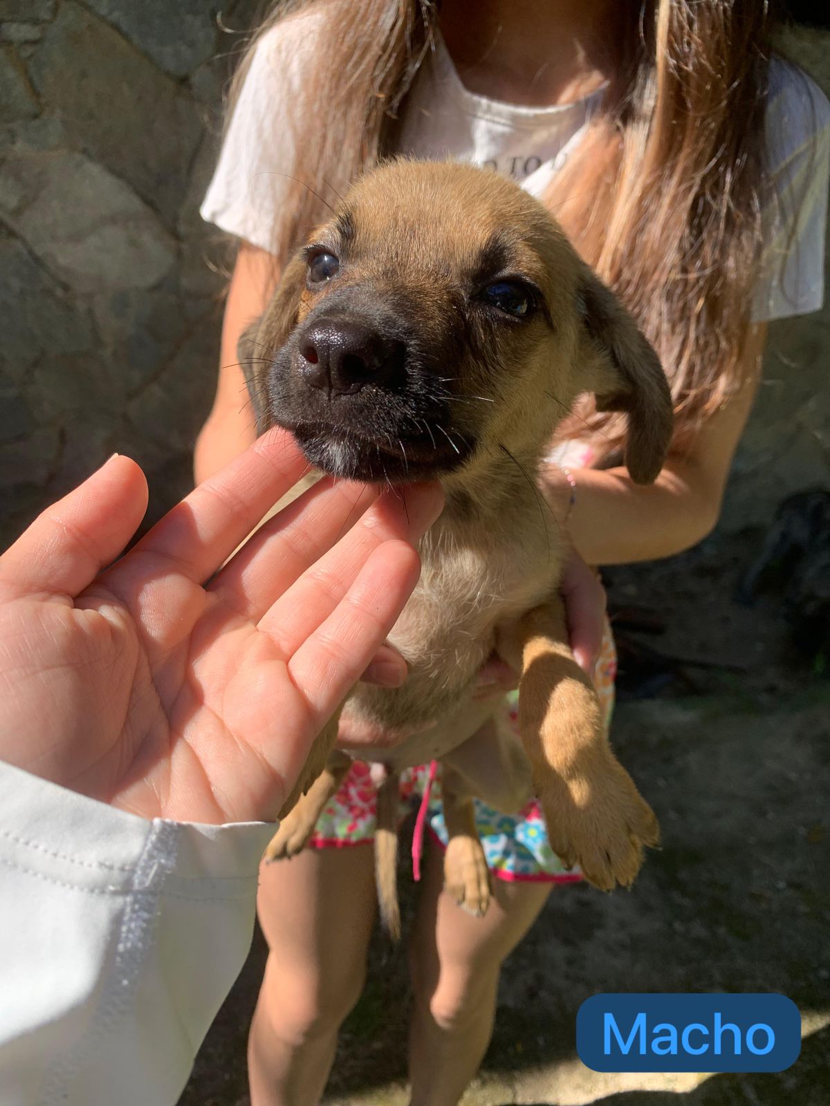 DOCINHO